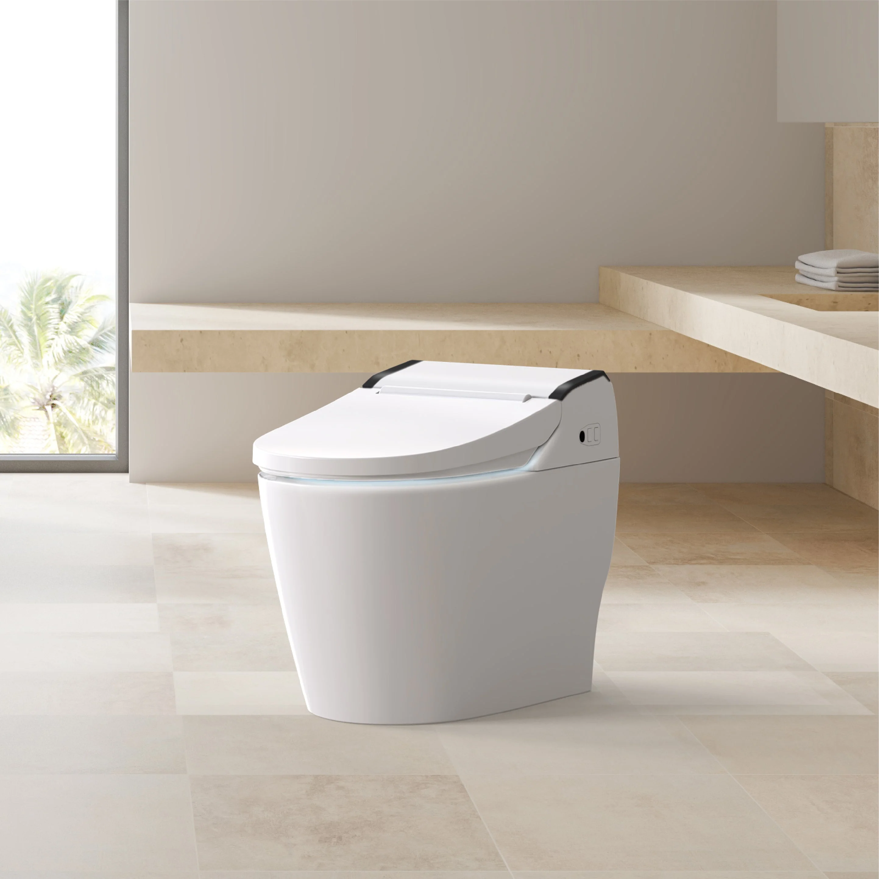Bidet Toilet